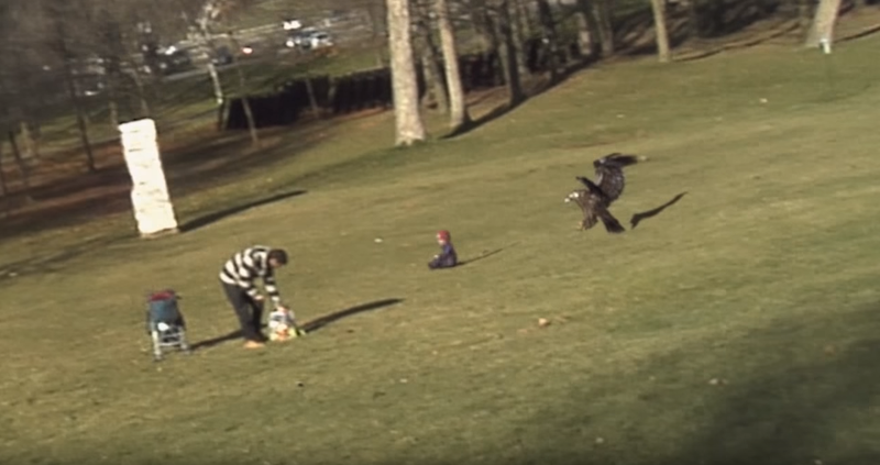 Eagle_fake.PNG