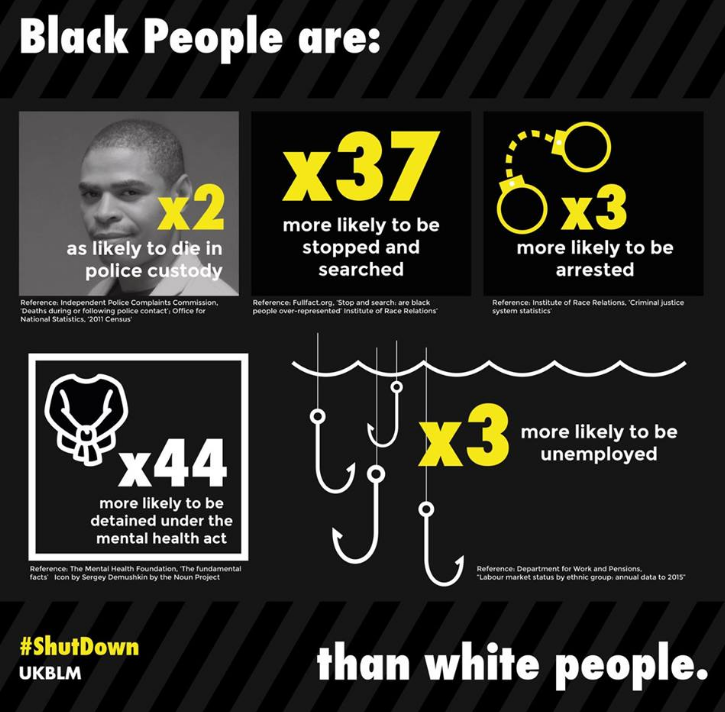 Ethnicity graphic.png