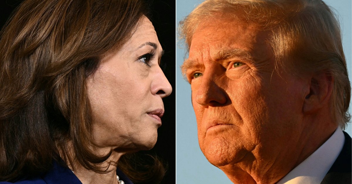 afp__20241104__36lh7e8__v2__highres__republicanpresidentialnomineedonaldtrumpholdsar_1.jpg