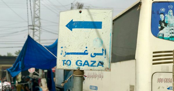gazapic.jpg