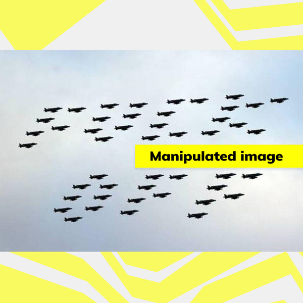 harriersnew.png