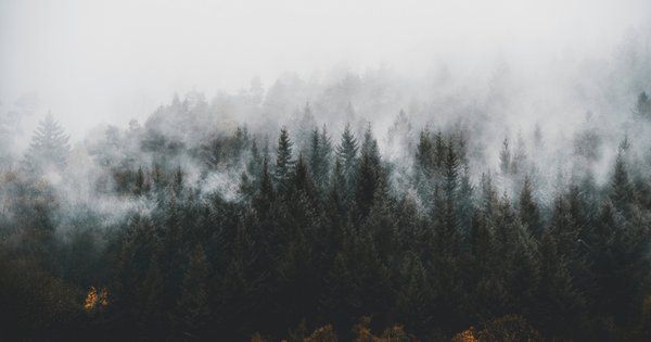 lili-kovac-jongfaefpgg-unsplash_1.jpg