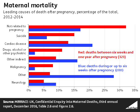 maternal_mortality.png