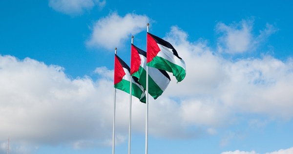 palestine_flags-cropped.jpg