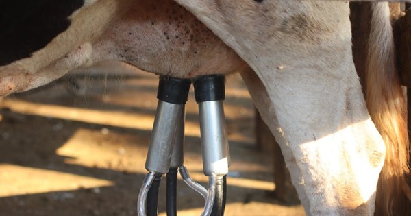 pexels-ouça-e-relaxe-11816342_resize.jpg